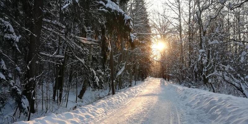 kuvituskuva - luminen maisema