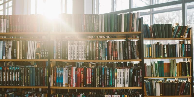 Image of a bookshelf.