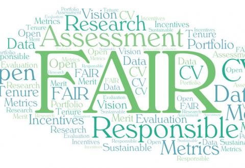 Word cloud with the keywords of the project.
