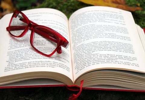 An open book on forest floor, red-framed glasses.