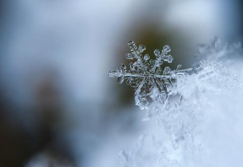 Illustration: A picture of a frosty snowflake. 